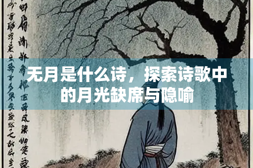 无月是什么诗，探索诗歌中的月光缺席与隐喻