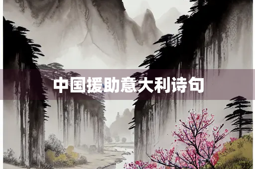 中国援助意大利诗句
