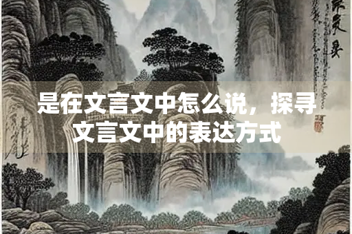 是在文言文中怎么说，探寻文言文中的表达方式