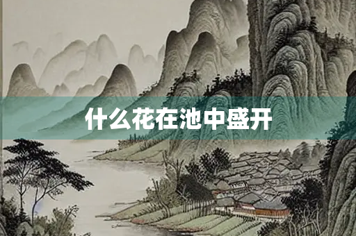 什么花在池中盛开