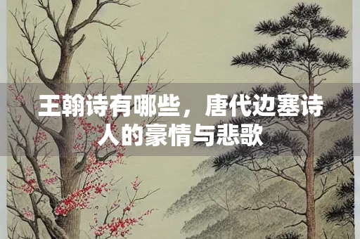 王翰诗有哪些，唐代边塞诗人的豪情与悲歌