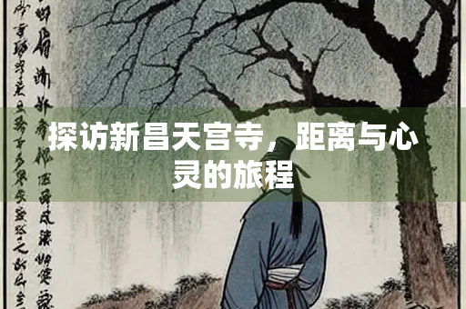探访新昌天宫寺，距离与心灵的旅程