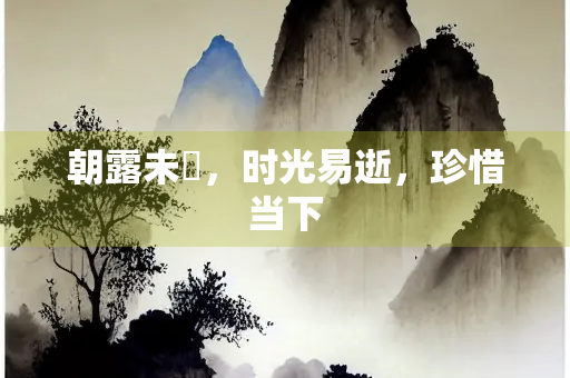 朝露未晞，时光易逝，珍惜当下