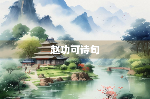 赵功可诗句