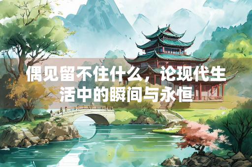 偶见留不住什么，论现代生活中的瞬间与永恒