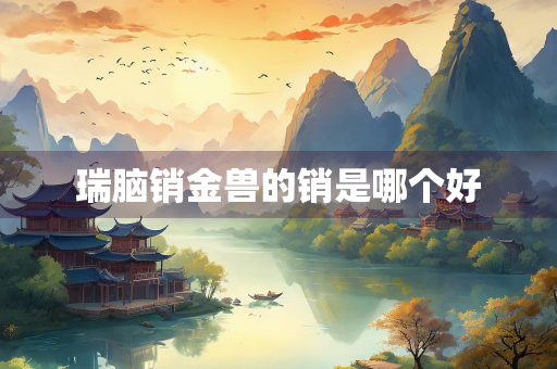 瑞脑销金兽的销是哪个好