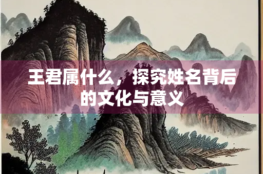 王君属什么，探究姓名背后的文化与意义
