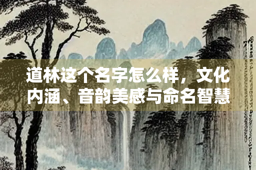 道林这个名字怎么样，文化内涵、音韵美感与命名智慧探析