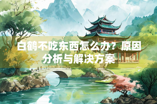白鹤不吃东西怎么办？原因分析与解决方案