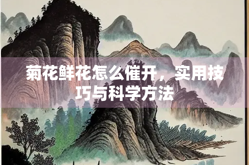 菊花鲜花怎么催开，实用技巧与科学方法