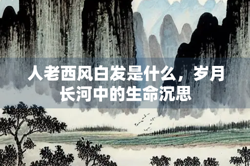 人老西风白发是什么，岁月长河中的生命沉思