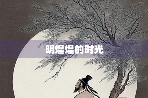 明煌煌的时光