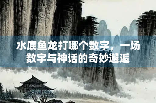 水底鱼龙打哪个数字，一场数字与神话的奇妙邂逅