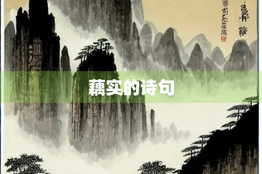 藕实的诗句