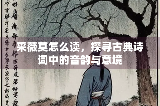 采薇莫怎么读，探寻古典诗词中的音韵与意境
