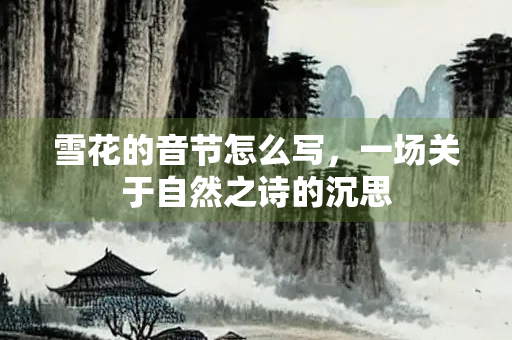 雪花的音节怎么写，一场关于自然之诗的沉思