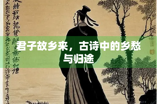 君子故乡来，古诗中的乡愁与归途