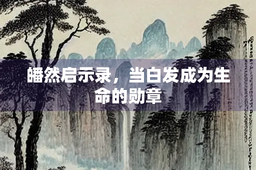 皤然启示录，当白发成为生命的勋章