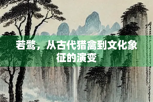 若鹜，从古代猎禽到文化象征的演变