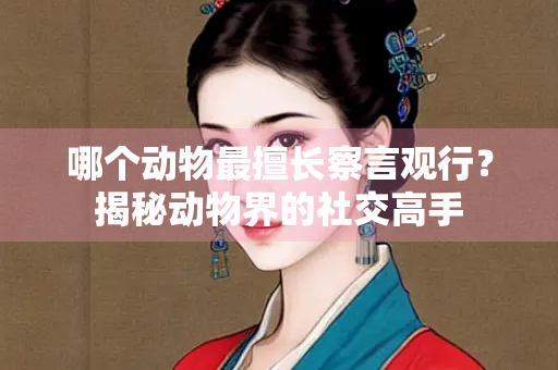哪个动物最擅长察言观行？揭秘动物界的社交高手
