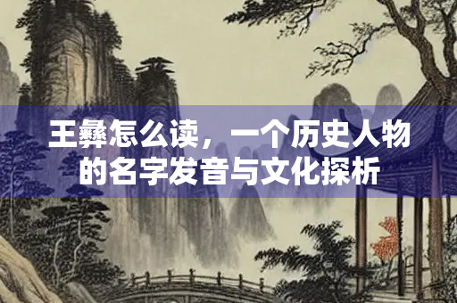 王彝怎么读，一个历史人物的名字发音与文化探析