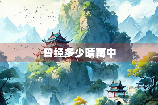 曾经多少晴雨中