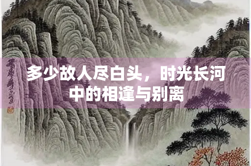 多少故人尽白头，时光长河中的相逢与别离
