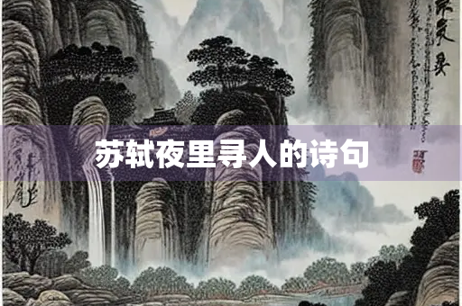 苏轼夜里寻人的诗句