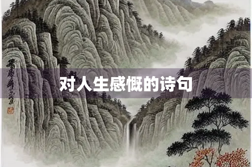 对人生感慨的诗句