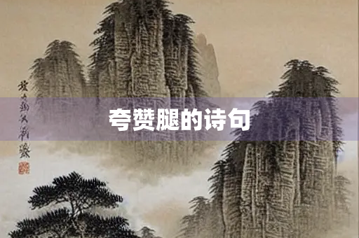 夸赞腿的诗句