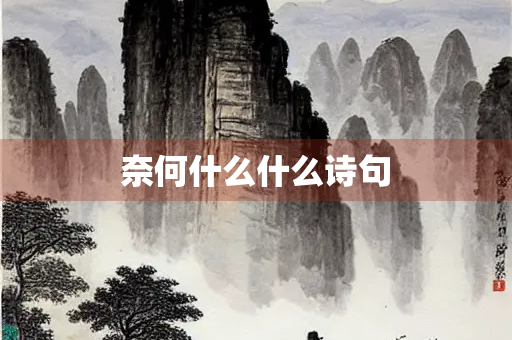 奈何什么什么诗句