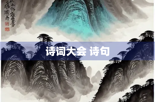 诗词大会 诗句