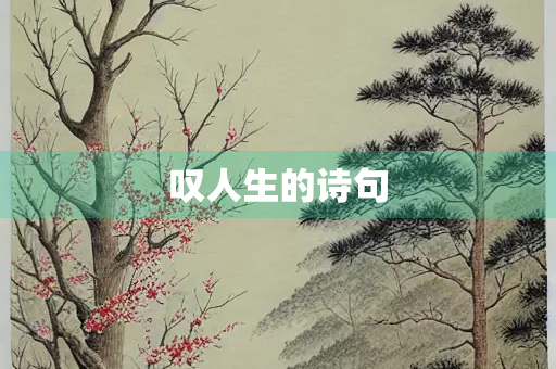 叹人生的诗句
