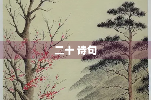 二十 诗句