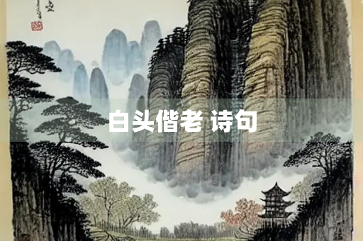 白头偕老 诗句