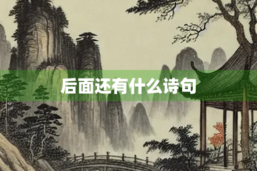 后面还有什么诗句