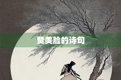 赞美脸的诗句