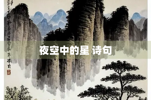 夜空中的星 诗句