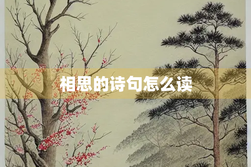 相思的诗句怎么读