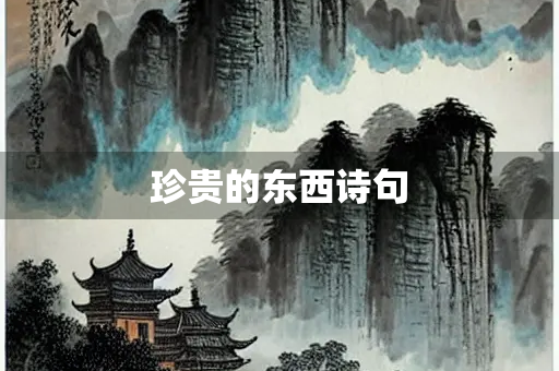 珍贵的东西诗句