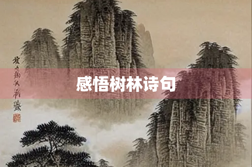 感悟树林诗句