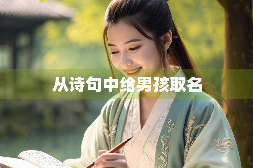 从诗句中给男孩取名