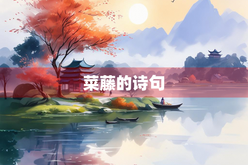 菜藤的诗句 菜藤的诗句