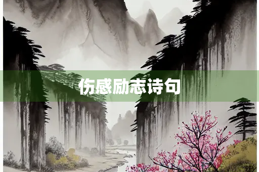 伤感励志诗句