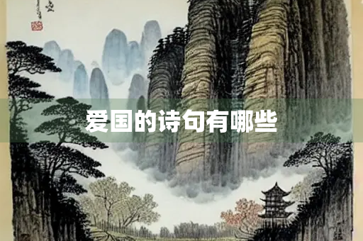 爱国的诗句有哪些