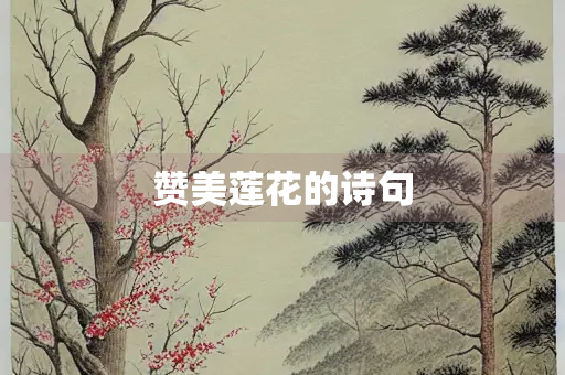 赞美莲花的诗句