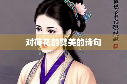 对荷花的赞美的诗句