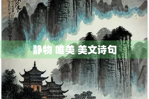 静物 唯美 美文诗句