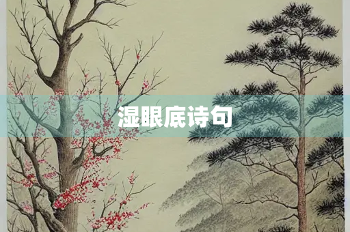 湿眼底诗句