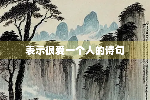 表示很爱一个人的诗句